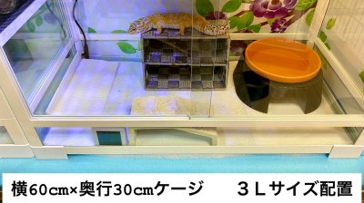 画像3: ウォーターシェルター(最新式　ウェットシェルター)　Lサイズ