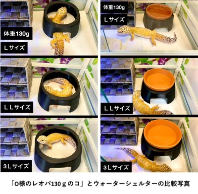 画像2: ウォーターシェルター(最新式　ウェットシェルター)　Lサイズ