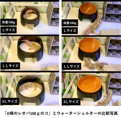 画像2: ウォーターシェルター(最新式　ウェットシェルター)　LLサイズ