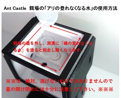 画像1: 【Ant Castle 4点セット】 アリの飼育キット　観察ケース