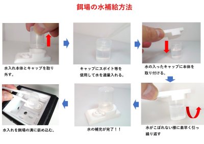 画像2: 【Ant Castle　餌場】 アリの飼育キット　観察ケース