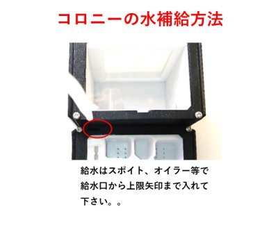 画像2: 【Ant Castle　コロニーtype1】 アリの飼育キット　観察ケース